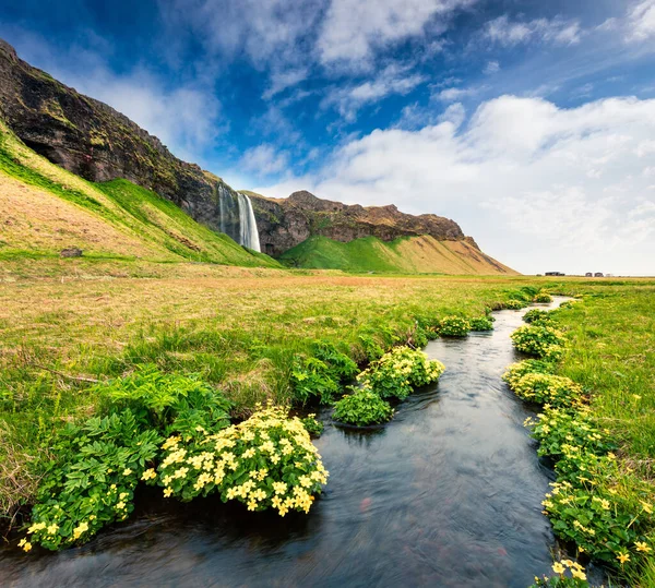 Brillante Vista Matutina Cascada Seljalandfoss Río Seljalandsa Verano Colorido Amanecer — Foto de Stock