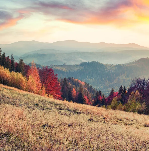 Attraktiver Herbstsonnenaufgang Gebirgstal Herrlicher Morgenblick Capathian Berge Ukraine Europa Schönheit — Stockfoto