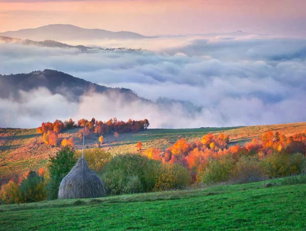 Foggy Cena Matinal Aldeia Montanha Colorido Nascer Sol Outono Nas — Fotografia de Stock