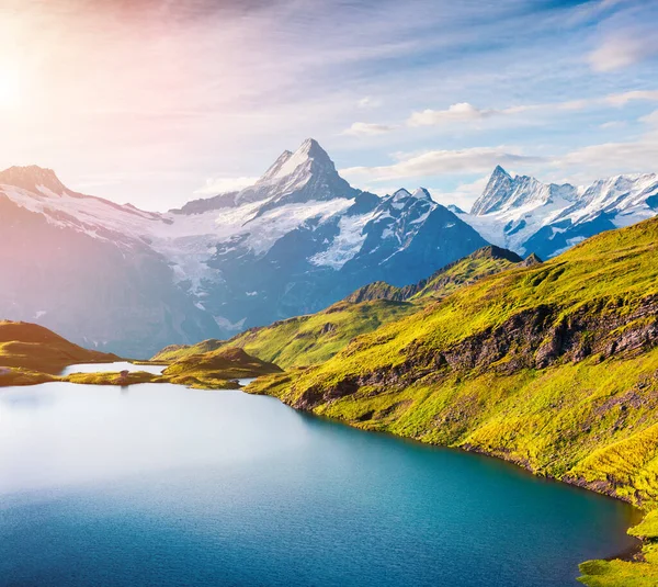 Πολύχρωμο Καλοκαίρι Ανατολή Στη Λίμνη Bachalpsee Schreckhorn Και Wetterhorn Peacks — Φωτογραφία Αρχείου