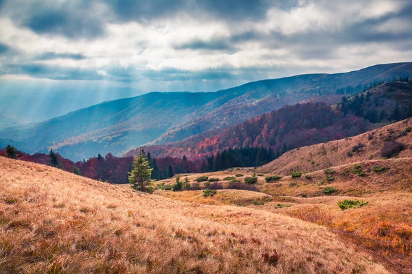 Impressionnante Scène Automne Vallée Montagne Grande Scène Matinale Montagnes Des — Photo