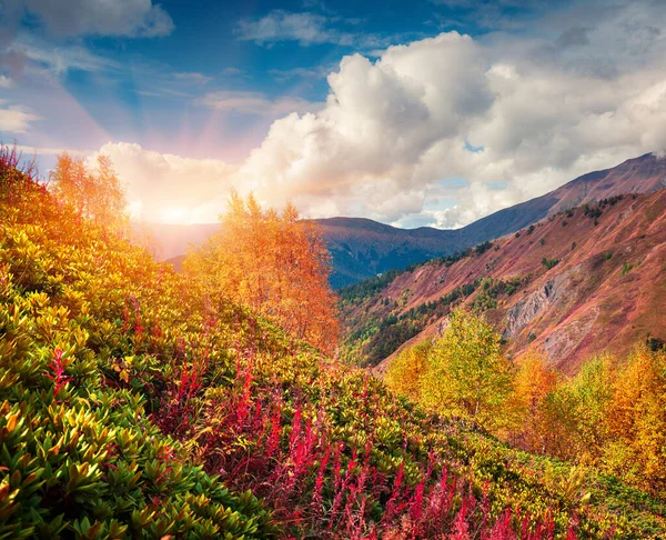 Inclinações Coloridas Das Montanhas Cáucaso Cenário Outono Ensolarado Upper Svaneti — Fotografia de Stock