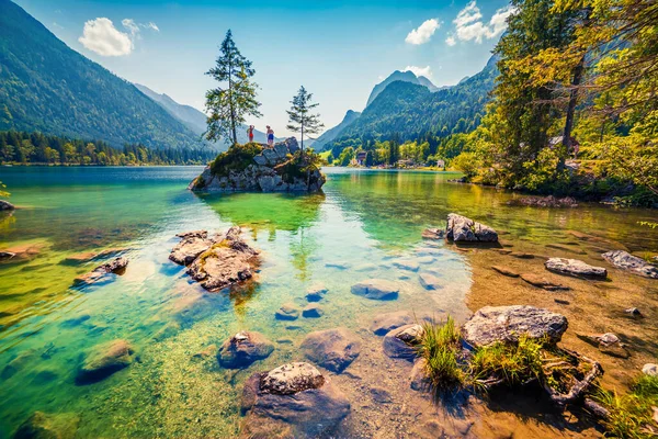 Schwimmen Hintersee Bei Sonnigem Sommertag Bunte Outdoor Szene Den Österreichischen — Stockfoto