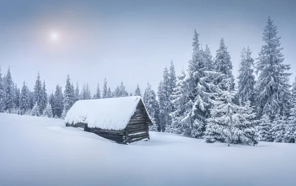 Cabaña Del Forestal Bosque Nevado Montaña Amanecer Invierno Brumoso Los — Foto de Stock