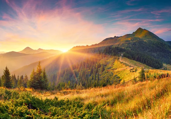 Atemberaubender Sommersonnenaufgang Den Karpaten Bunte Morgenszene Mit Dem Ersten Sonnenlicht — Stockfoto