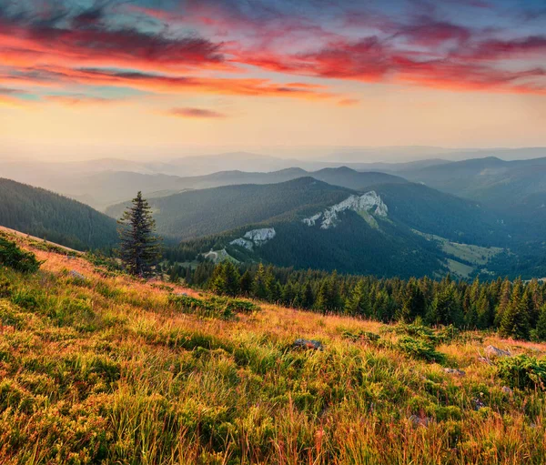 ルーマニアのクルジュ郡ヴラデーサ山脈からのピエートレ アルベ ピークの素晴らしい夏の景色 アプセニ山脈のカラフルな夕日のシーン 自然の概念の背景の美しさ — ストック写真