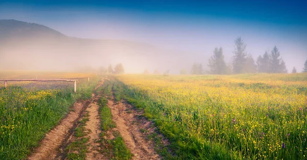 Sunny Summer Morning Carpathians Foggy Rural Scene Country Road Ukraine — Stock Photo, Image
