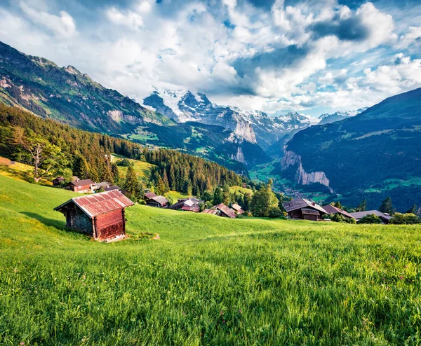 Verde Escena Mañana Del Campo Los Alpes Suizos Bernese Oberland —  Fotos de Stock