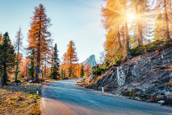 Fantasztikus Napos Kilátás Dolomite Alpok Sárga Vörösfenyő Fák Színes Őszi — Stock Fotó