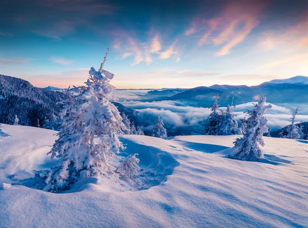 Dramatický Zimní Východ Slunce Karpatských Horách Zasněženými Jedlemi Barevná Venkovní — Stock fotografie