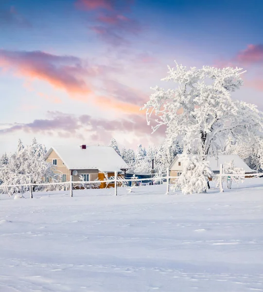 Невероятный Зимний Рассвет Горной Деревне Заснеженными Деревьями Саду Сцена Открытым — стоковое фото
