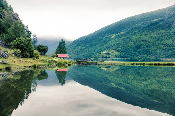 Schöner Sommer Blick Auf Den Sognefjord Grüner Morgen Szene Von — Stockfoto