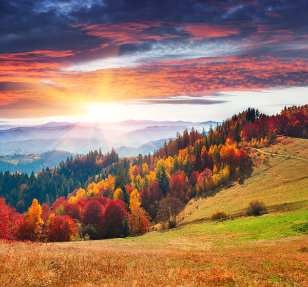 Colorful autumn morning in the Carpathians. Dramatic sunrise in the mountain village. Artistic style post processed photo.