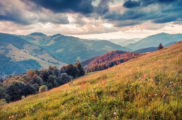 Cena Manhã Dramática Vale Montanha Nascer Sol Colorido Verão Nas — Fotografia de Stock