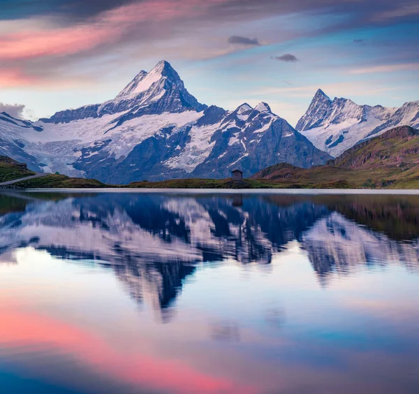 Colorful Summer Sunrise Bachalpsee Lake Schreckhorn Peak Background Picturesque Morning — Stock Photo, Image