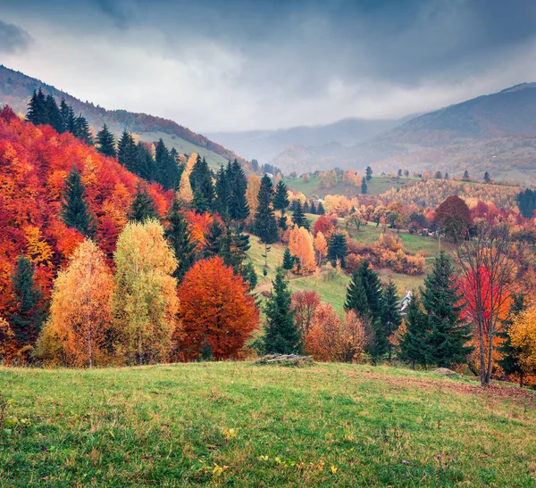 Tolle Herbstszene Gebirgstal Bunte Morgenszene Der Karpaten Lage Des Dorfes — Stockfoto