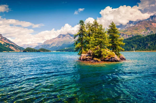 Piccola Isola Sul Lago Sils Splendida Scena Mattutina Delle Alpi — Foto Stock