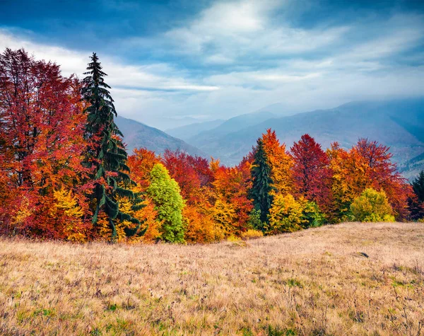 Smutná Podzimní Scéna Horského Údolí Malebný Večerní Pohled Karpatské Hory — Stock fotografie