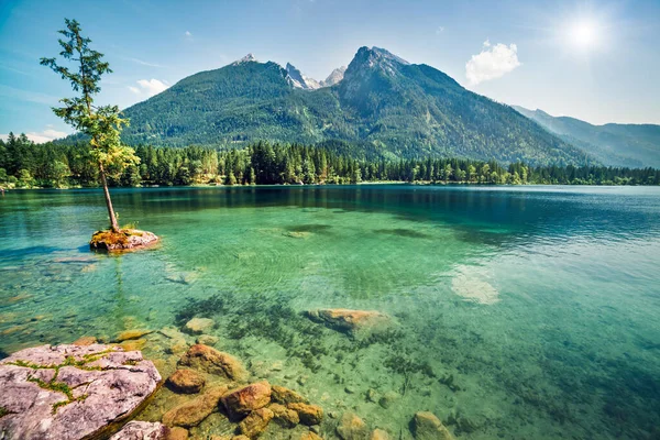 Piękna Letnia Scena Jeziora Hintersee Kolorowy Poranny Widok Alpy Bawarskie — Zdjęcie stockowe