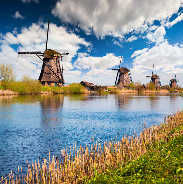 Sunny spring scene in the canal in Netherlands. Dutch windmills at Kinderdijk, an UNESCO world heritage site. Morning in Holland.