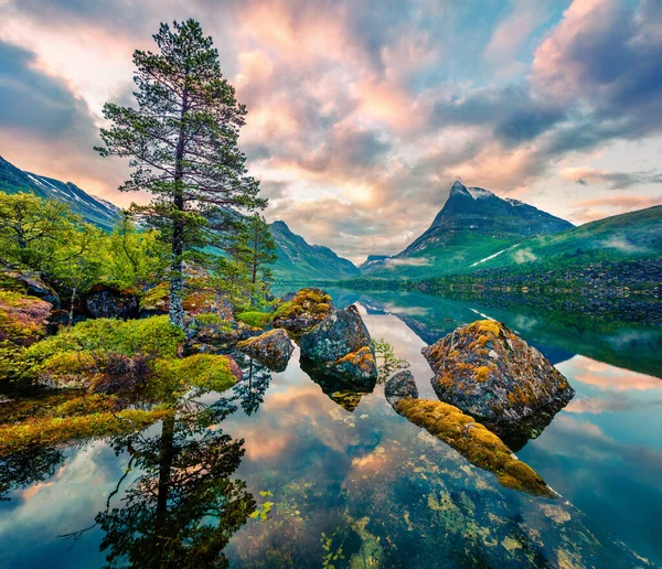 Fantastica Alba Estiva Sul Lago Innerdalsvatna Scena Mattutina Colorata Norvegia — Foto Stock