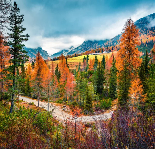 Misty Morning Scene National Park Tre Cime Lavaredo Colorful Autumn — Stock Photo, Image