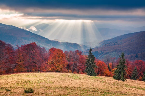 Beeindruckende Herbstlandschaft Gebirgstal Bunte Morgenszene Der Karpaten Lage Des Dorfes — Stockfoto