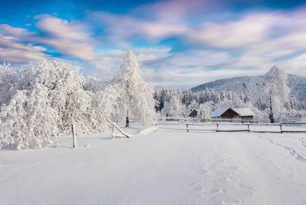 Splendid Winter Sunrise Carpathian Village Sunny Outdoor Scene Garden Heavy — Stock Photo, Image