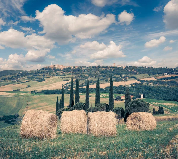 Retro Ansicht Der Weizenernte Der Toskana Sonnige Sommerliche Szenerie Italienischer — Stockfoto