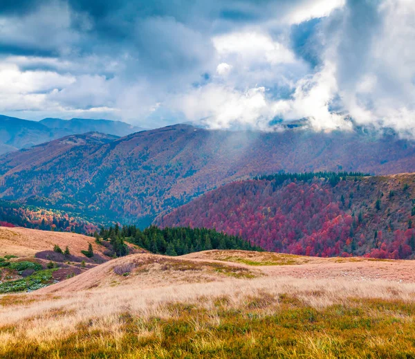 Dramatic Autumn Scene Mountain Valley Colorful Morning Scene Carpathian Mountains — Stock Photo, Image