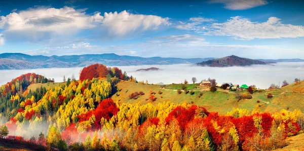 Foggy Cena Manhã Aldeia Montanha Babyn Panorama Colorido Outono Das — Fotografia de Stock