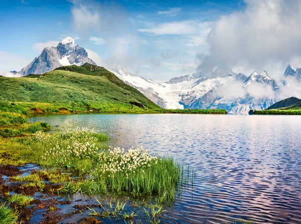 Ομιχλώδης Θέα Καλοκαίρι Της Λίμνης Bachalpsee Schreckhorn Κορυφή Στο Παρασκήνιο — Φωτογραφία Αρχείου