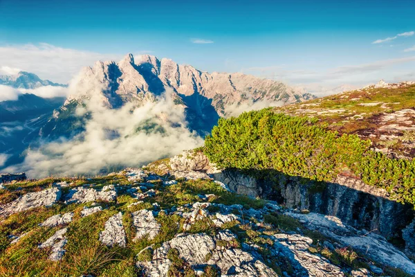 Αιχμαλωτίζοντας Θέα Καλοκαίρι Gruppo Del Cristallo Οροσειρά Στο Tre Cime — Φωτογραφία Αρχείου