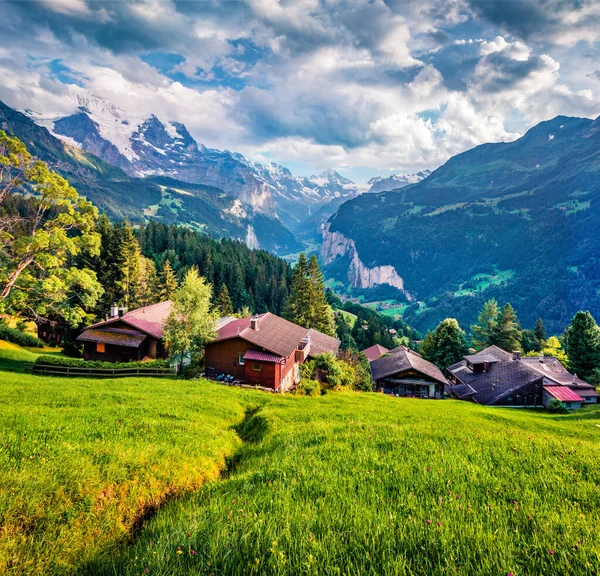 Fresca Escena Matutina Campo Los Alpes Suizos Bernese Oberland Cantón —  Fotos de Stock