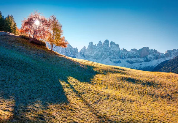 GeislerまたはOdle Dolomites Groupの前にあるSanta Maddalena村の丘の壮大な景色 ドロマイトアルプス イタリア ヨーロッパのカラフルな秋のシーン 田舎のコンセプトの背景の美しさ — ストック写真