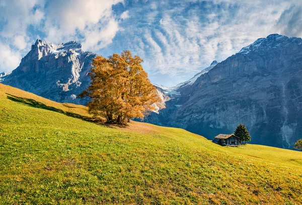Napos Őszi Kilátás Grindelwald Falu Bernese Oberland Alpok Fenséges Reggeli — Stock Fotó