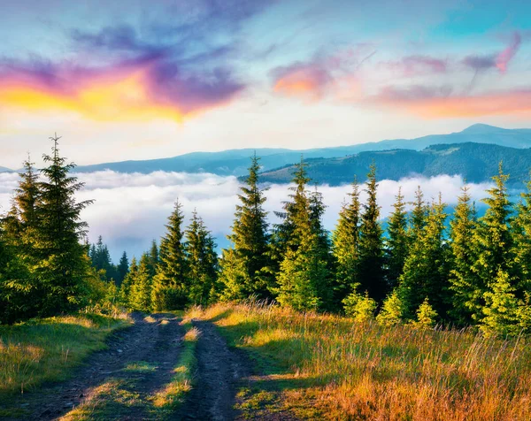 霧の多い山の中でカラフルな夏の日の出 山の尾根の上に汚い田舎道 カルパティアの絵のような朝のシーン ウクライナ ヨーロッパ Instagramフィルタートーン — ストック写真