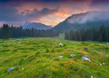 Cresta di enghe Sıradağları, sisli yaz sabahı.