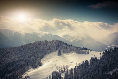 dağlarda kar ile kaplı ağaçlar