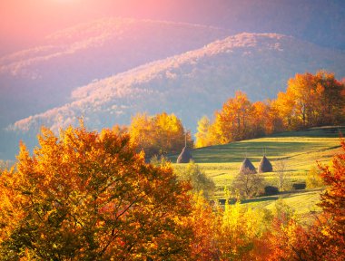 Dağlarda sonbahar manzarası