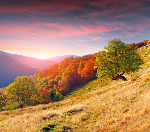 Autumn sunset in mountains — Stock Photo, Image