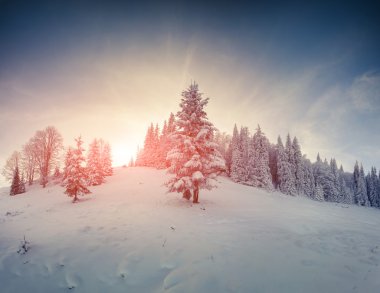 güzel kış gündoğumu Dağları. 