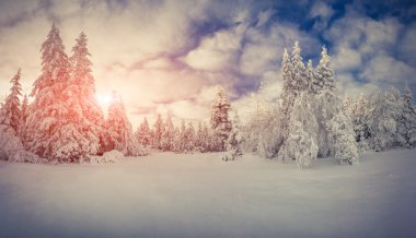 Dağlarda gün doğumu.