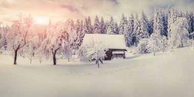 Karpat Dağları'nda eski çiftlik.