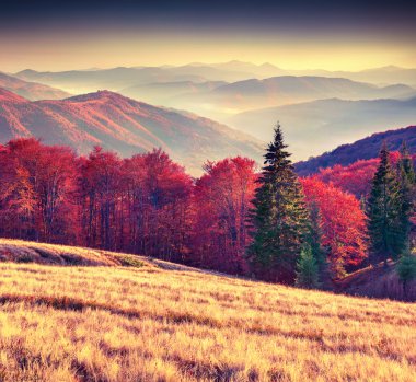 Dağlarda sonbahar sabahı.