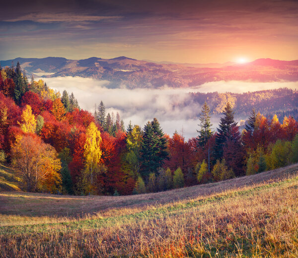 Colorful autumn sunrise in the mountains.