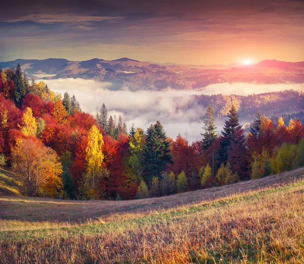 Bunter Herbstlicher Sonnenaufgang in den Bergen. Stockfoto