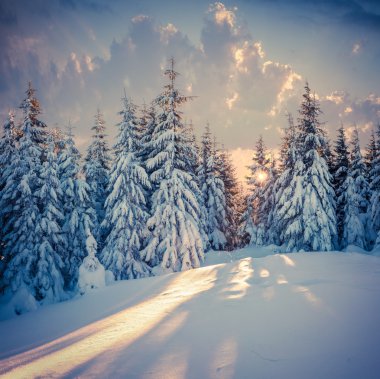 Dağlarda gün doğumu.