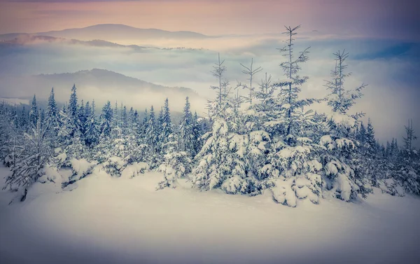 Fairy-tales snowfall in winter mountains.