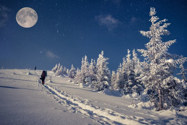 Travel in winter mountains at night